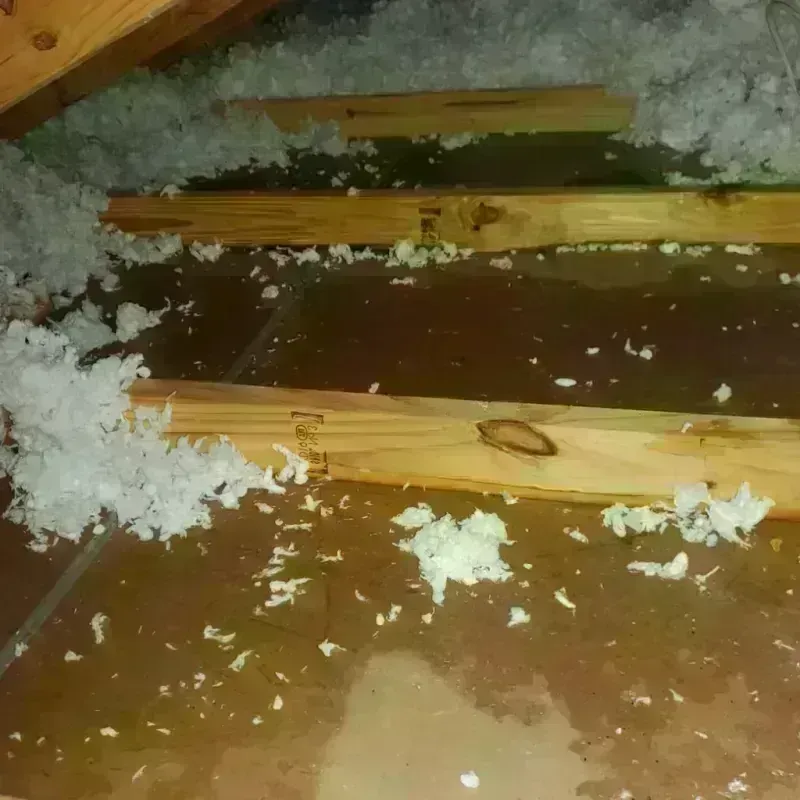 Attic Water Damage in Independence, WI