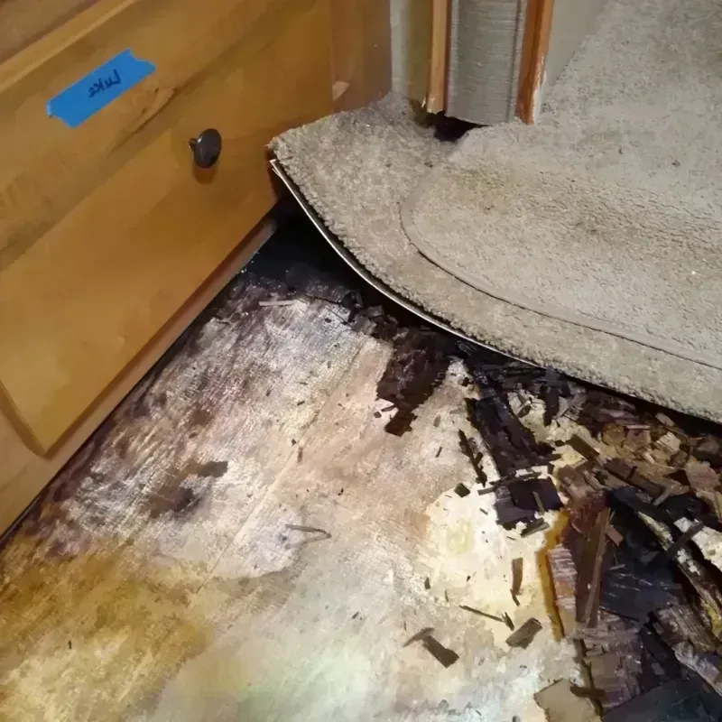 Wood Floor Water Damage in Independence, WI